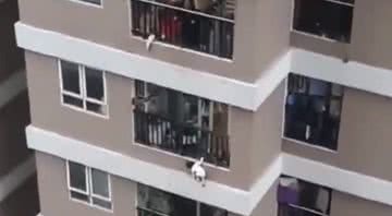 Criança pendurada no 12º andar de um prédio no Vietnã - Divulgação