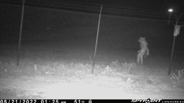Criatura desconhecida flagrada em zoo do Texas - Divulgação/ Facebook/ City of Amarillo