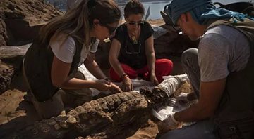 Arqueólogos trabalham com um dos crocodilos descobertos - Divulgação / Patricia Mora