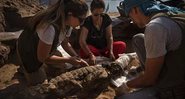 Arqueólogos trabalham com um dos crocodilos descobertos - Divulgação / Patricia Mora