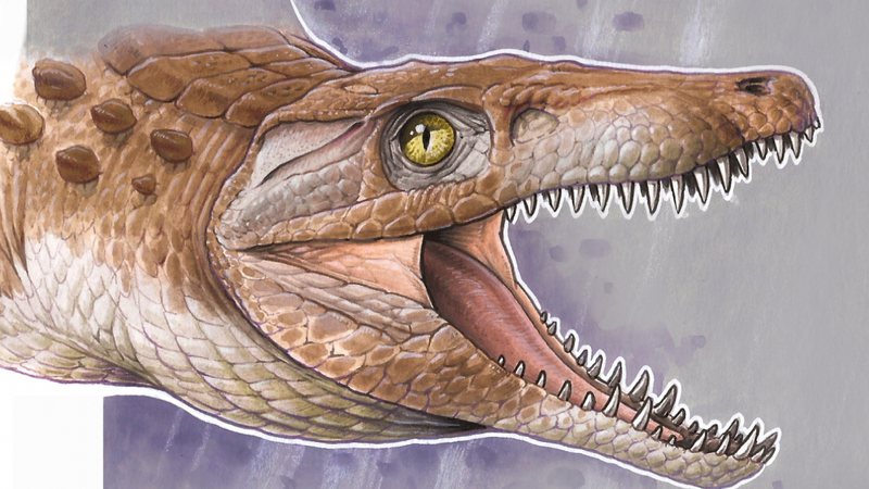 Ilustração de como seria o fóssil de 'avô' de crocodilo - Divulgação/Museu Argentino de Ciências Naturais/Gabriel Lio