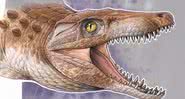 Ilustração de como seria o fóssil de 'avô' de crocodilo - Divulgação/Museu Argentino de Ciências Naturais/Gabriel Lio