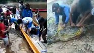 Equipe de buscas capturando crocodilo na Indonésia - Divulgação/Vídeo/Newsflare