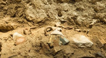 Fotografia mostrando local da escavação com alguns dos objetos ainda parcialmente soterrados - Divulgação / Autoridade de Antiguidades de Israel