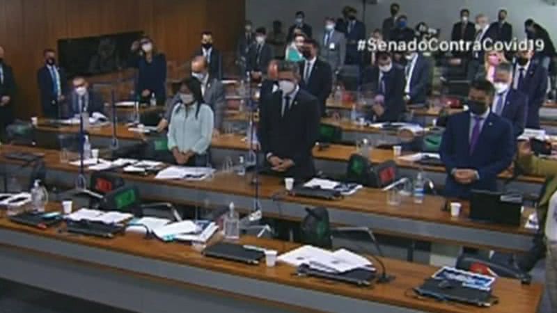 Trecho mostrando os senadores de pé em respeito à memória do ator recém-falecido - Divulgação / TV Senado