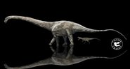 Dinossauro encontrado pode ter sido o mais longo que já existiu - Divulgação / Twitter / @Fossilcrates