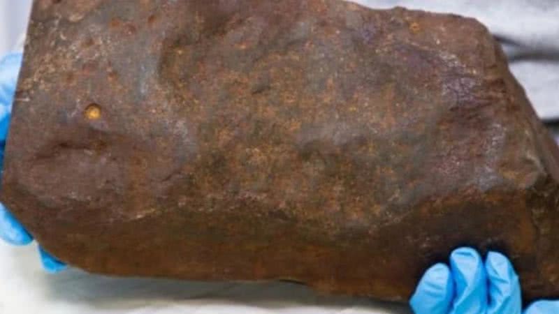 Meteorito encontrado na Austrália - Divulgação / Museums Victoria