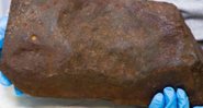 Meteorito encontrado na Austrália - Divulgação / Museums Victoria