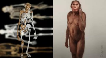 O Australopithecus sediba - Divulgação / NYU & Wits University / Elisabeth Daynes