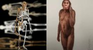 O Australopithecus sediba - Divulgação / NYU & Wits University / Elisabeth Daynes