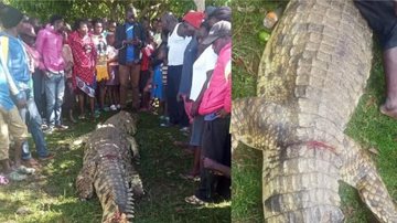 Crocodilo foi capturado por moradores - Divulgação / Isaiah Gwengi