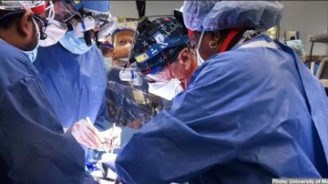 Médicos realizaram o primeiro transplante de um coração de porco em um ser humano - Divulgação / Universidade de Maryland
