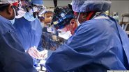 Médicos realizaram o primeiro transplante de um coração de porco em um ser humano - Divulgação / Universidade de Maryland