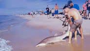 Homem arrastou animal para fora do mar na praia de NY, nos EUA - Divulgação / Instagram