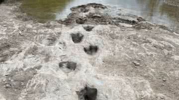 Pegadas de dinossauro encontradas após seca de rio - Divulgação / Facebook