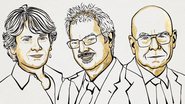 Ilustração dos vencedores do Nobel da Química - Divulgação / The Nobel Prize / Niklas Elmehed