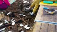 Ossos encontrados no no sítio arqueológico de Duvenseer Moor - Divulgação / ALSH