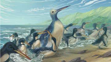 Ilustração da espécie gigante Kumimanu fordycei junto a pinguins Petradyptes stonehousei - Divulgação / Bruce Museum