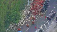 Centenas de galinhas ficaram espalhadas em pista - Divulgação / TV Globo