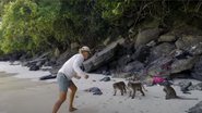 Grupo de macacos atacou família - Divulgação / Youtube