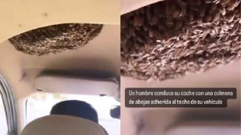 Homem dirigiu carro com colmeia de abelhas - Divulgação / Instagram