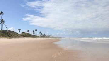 Praia de Massarandupió, na Bahia - Wikimedia Commons / MBPassos