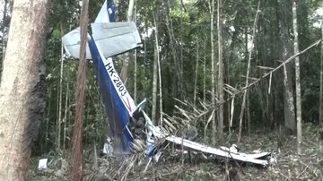 Crianças sobreviveram à queda de avião - Divulgação / vídeo / G1
