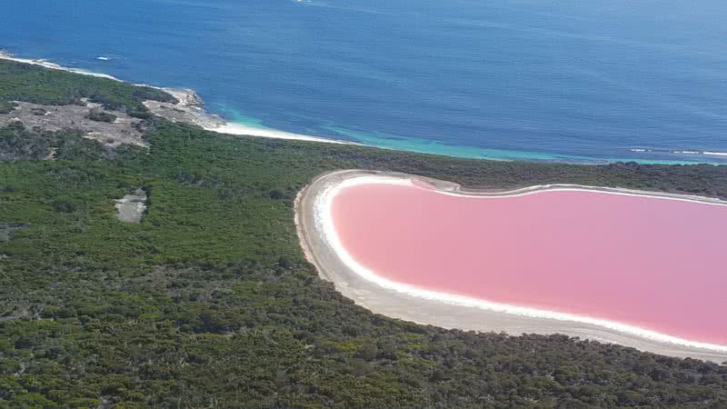 How does science explain this pink lake in Australia?