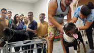 Cão da raça rottweiler que foi alvejado por policial - Divulgação / Prefeitura de João Pessoa