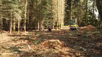 Local onde ocorrem as escavações - Divulgação / vídeo / Youtube / France 24 English