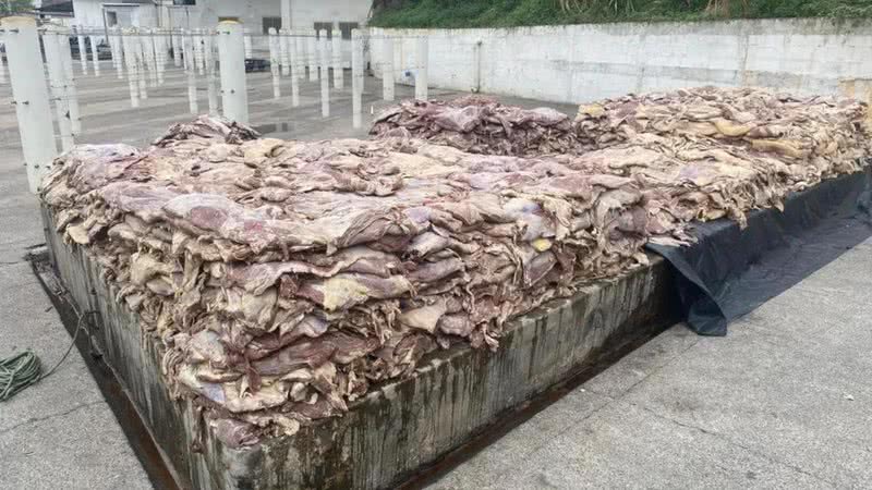 Carne estragada encontrada pela polícia - Divulgação / Delegacia de Crimes Contra o Meio Ambiente