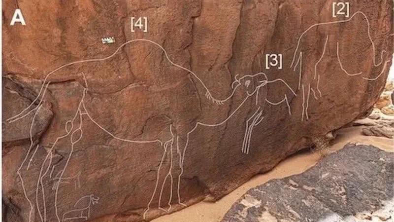 Entalhes no formato de camelos foram possivelmente criados há milhares de anos - Divulgação/Maria Guagnin, et al