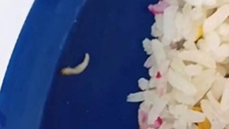 Larva encontrada em merenda escolar - Divulgação/vídeo/redes sociais