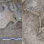 Ossos humanos e crânio de vaca achados pelos arqueólogos ingleses