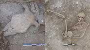 Ossos humanos e crânio de vaca achados pelos arqueólogos ingleses - Divulgação/ Universidade de Bournemouth