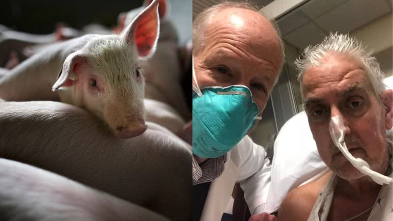 Homem que recebeu transplante de coração modificado de um porco - Getty Images / Divulgação/University of Maryland School of Medicine (UMSOM