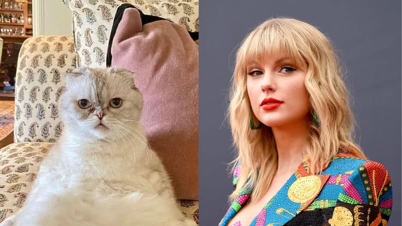 A gata Olivia Benson e sua tutora, Taylor Swift - Reprodução/Instagram e Getty Images