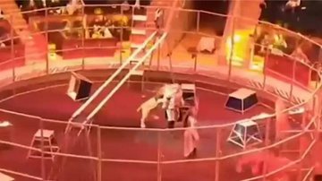 Homem foi atacado por leão - Divulgação / vídeo / Twitter