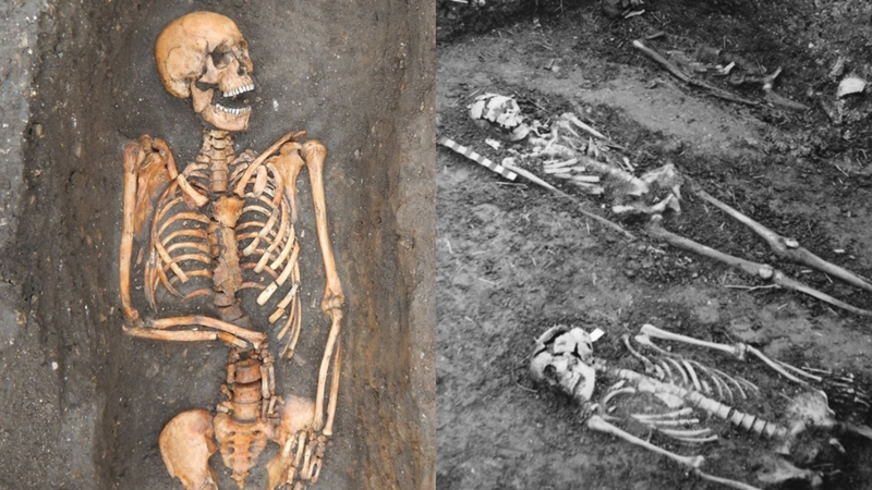 Esqueletos de vítimas da peste - Divulgação/Cessford. et. al/Cambridge Core