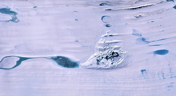 A dolina com água de degelo no verão antártico - Divulgação/UC San Diego News Center