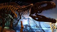Imagem de item que será exposto - Divulgação/Dinossauros - Patagotitan, o Maior do Mundo