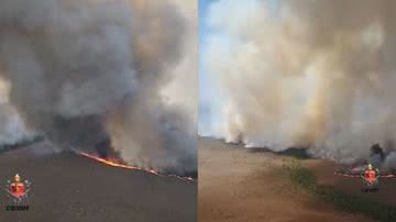 Imagens do incêndio no Parque Nacional de Brasília - reprodução/Vídeo/Metrópolis