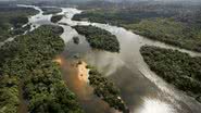 Floresta Amazônica - Getty Images