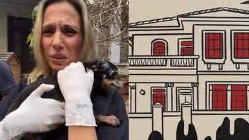 Luisa Mell resgata cachorro de "A Mulher da Casa Abandonada", do podcast da Folha de S. Paulo - Reprodução/Instagram e Divulgação/Editoria de Arte