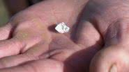Imagem do diamante encontrado por Jerry Evans - Reprodução/Facebook/Crys Funderburg