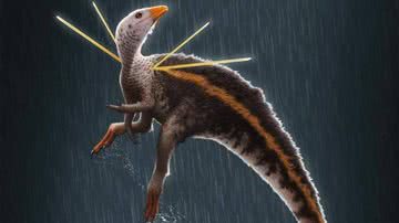 Concepção artística do dinossauro brasileiro Ubirajara jubatus - Concepção artística de Bob Nicholls/Paleocreations