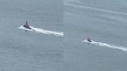 Imagens de homem fantasiado de dinossauro pilotando moto aquática em Praia Central de Balneário Camboriú - Reprodução / Vídeo