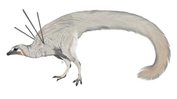 Ilustração de um dinossauro Ubirajara jubatus - Wikimedia Commons, sob licença Creative Commons
