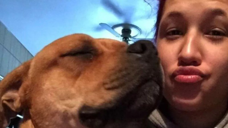 Mulher reencontra seu cachorro perdido depois de 2 anos - Divulgação/LeHigh County Humane Society