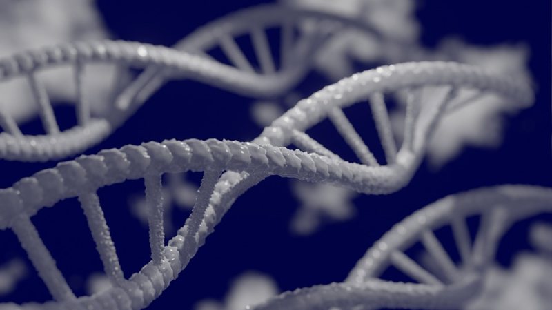 Imagem ilustrativa de DNA - Foto de Mahmoud-Ahmed, via Pixabay